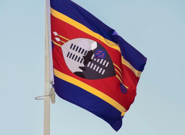 pexels-aboodi-13899126