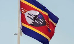 pexels-aboodi-13899126