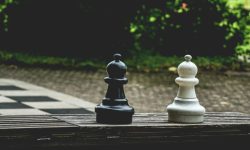 pexels-artur-roman-158558-541538